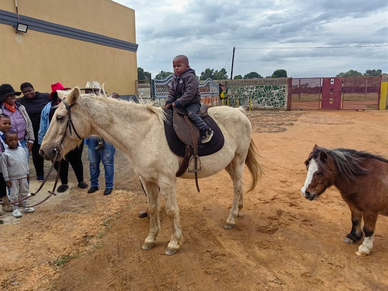 Man riding a light-colored horse in dirt arena with children watching and smaller brown horse nearby